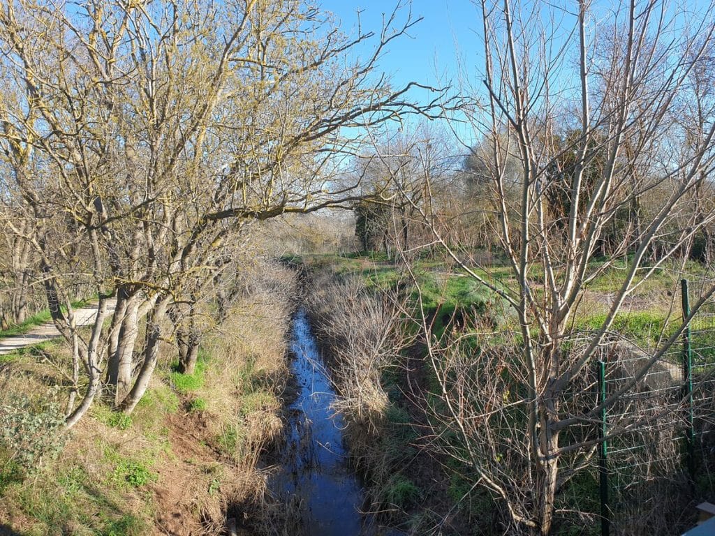 Marche contée sur l’histoire de la Terre au parc nature du Plan
